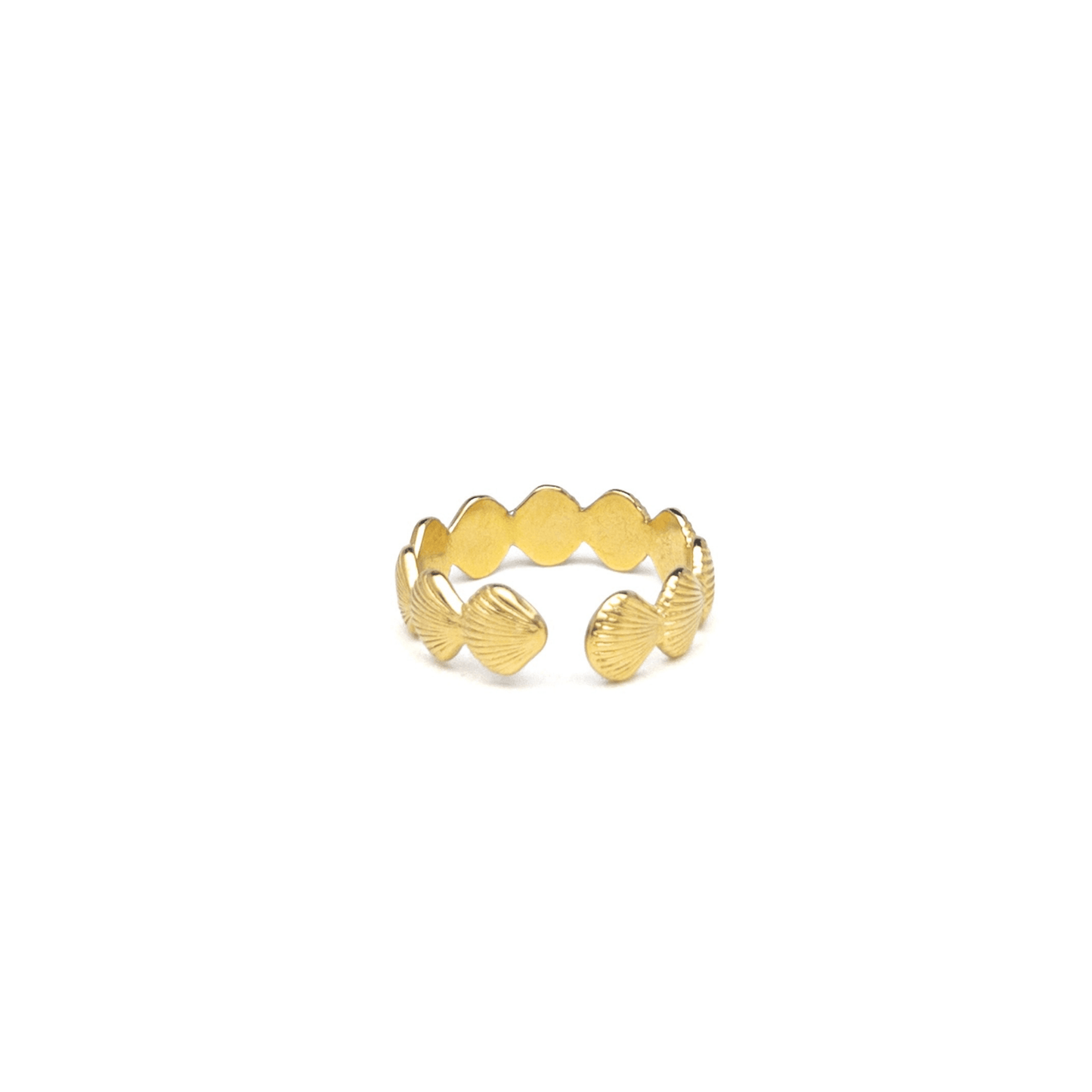 Seashells ring