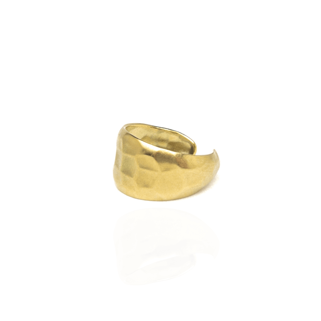 Terra Ring