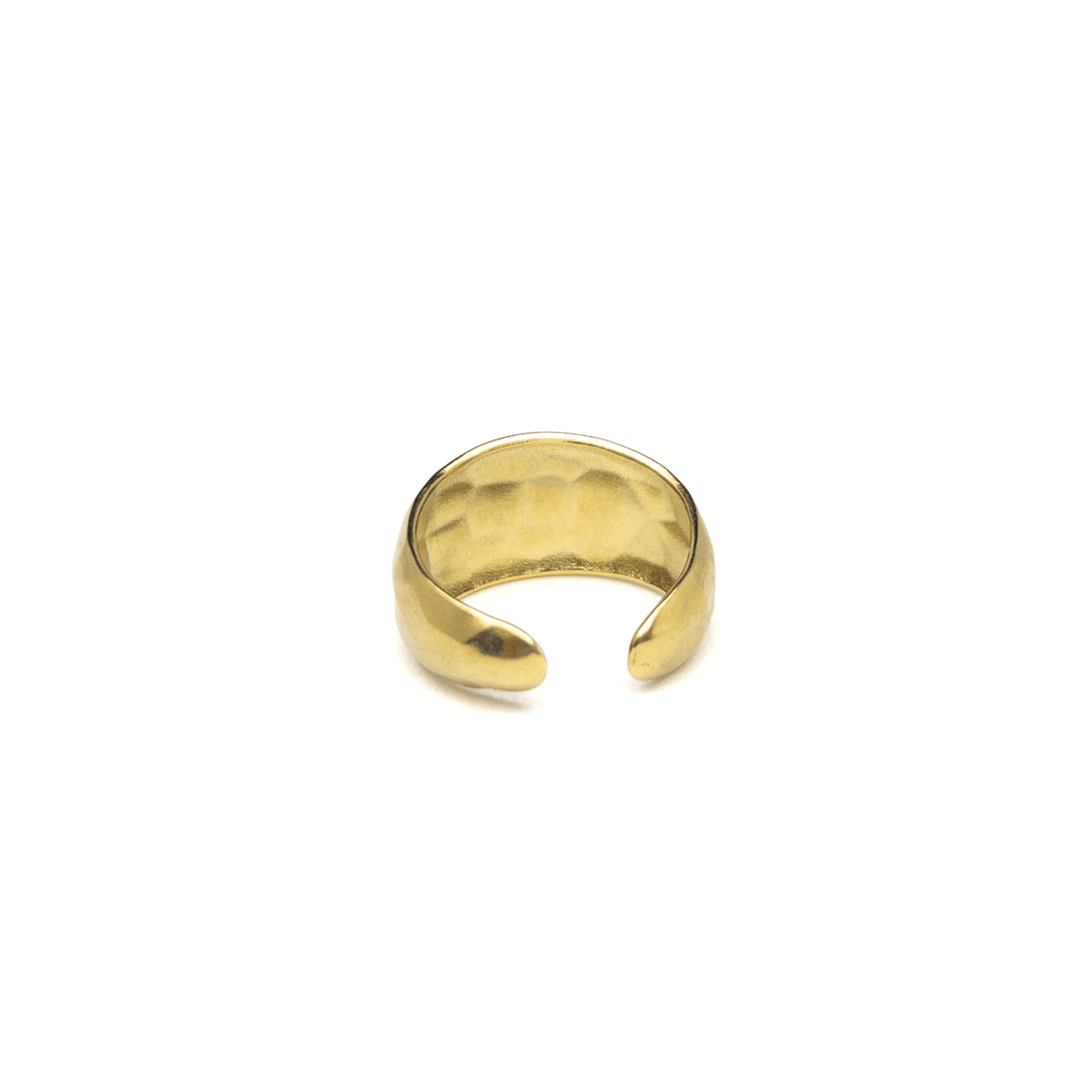 Terra Ring