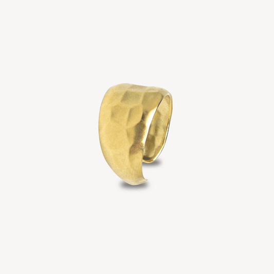 Terra Ring